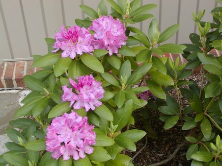 Enlarge photo 33