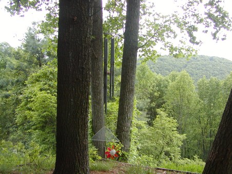 Enlarge photo 37