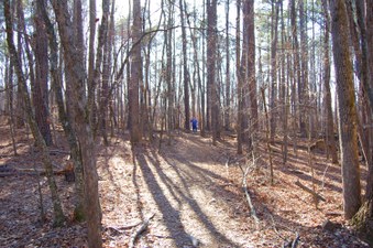 Enlarge photo 37