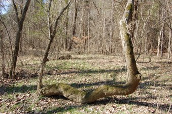 Enlarge photo 25