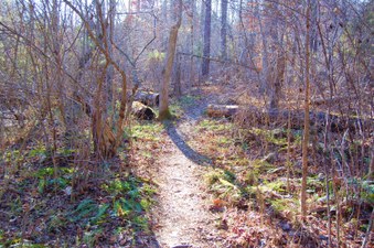 Enlarge photo 4