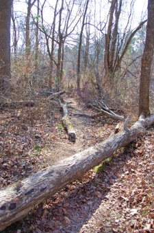 Enlarge photo 22