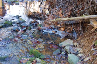 Enlarge photo 10