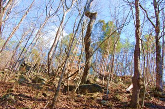 Enlarge photo 21