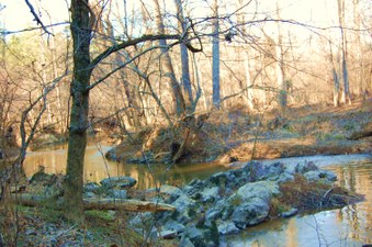 Enlarge photo 14