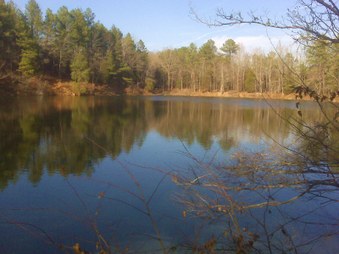 Enlarge photo 39