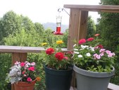 Enlarge photo 5