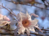 Enlarge photo 27