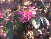 Enlarge photo 29