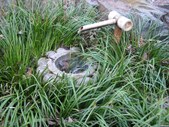 Enlarge photo 32