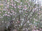 Enlarge photo 33