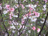 Enlarge photo 34