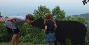 Enlarge photo 42