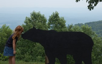 Enlarge photo 41