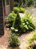 Enlarge photo 7