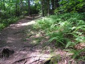 Enlarge photo 27