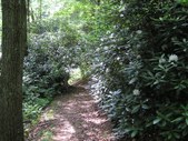 Enlarge photo 28