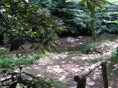 Enlarge photo 29