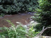 Enlarge photo 32