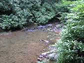 Enlarge photo 33