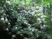 Enlarge photo 34