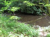Enlarge photo 36