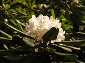Enlarge photo 39