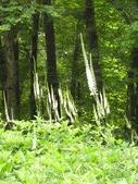 Enlarge photo 42