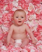 Enlarge photo 28