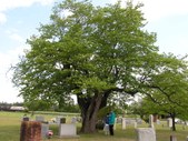 Enlarge photo 44