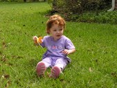 Enlarge photo 48