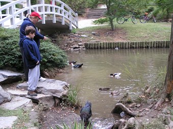 Enlarge photo 9