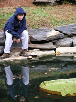 Enlarge photo 12