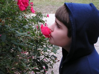 Enlarge photo 19
