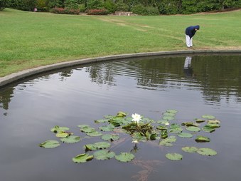 Enlarge photo 22