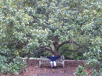 Enlarge photo 23