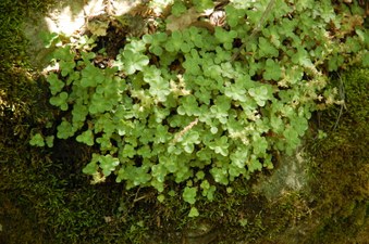 Enlarge photo 38