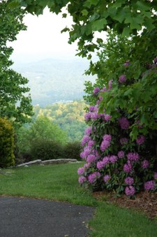 Enlarge photo 52