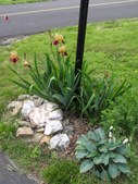 Enlarge photo 3