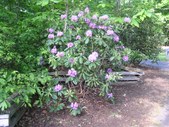 Enlarge photo 17