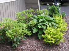 Enlarge photo 10