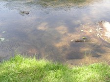Enlarge photo 20