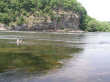 Enlarge photo 16