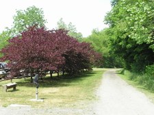 Enlarge photo 23