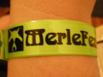 MerleFest 2008
