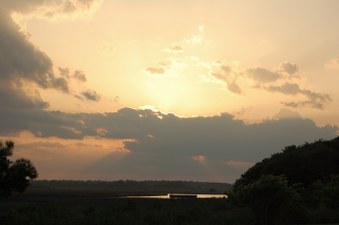 Enlarge photo 64