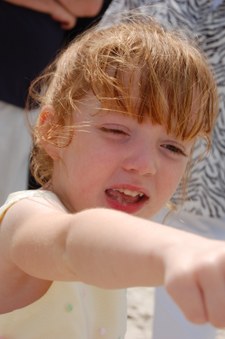 Enlarge photo 60