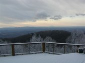 Enlarge photo 77