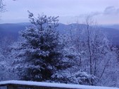Enlarge photo 75