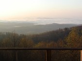 Enlarge photo 95